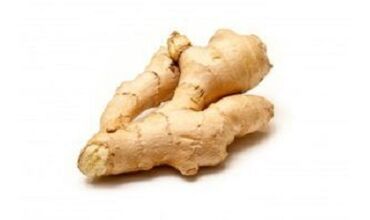 ginger root to grow penis
